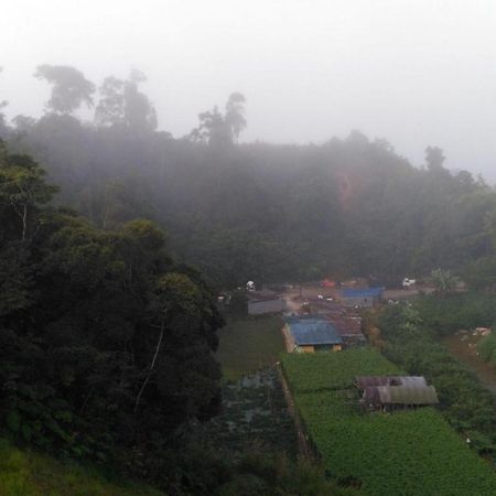 ザ パインズ ホテル Kampung Kuala Terla エクステリア 写真