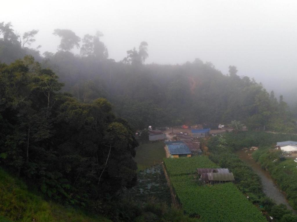 ザ パインズ ホテル Kampung Kuala Terla エクステリア 写真